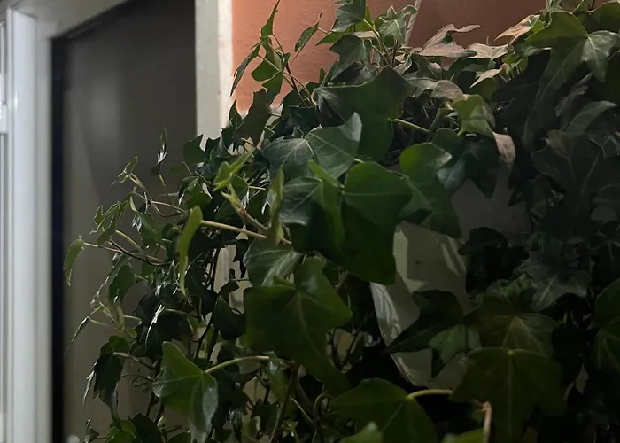 Noluma Gemelli-luminoso Loft A Pochi Passi Dal Policlinico Gemelli Appartement *